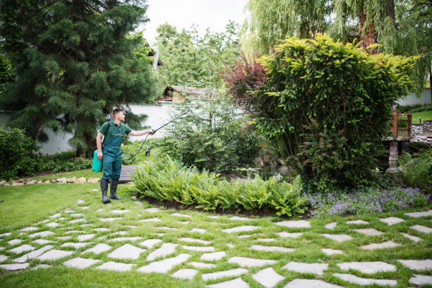 Professional Pest Control in Santee, CA