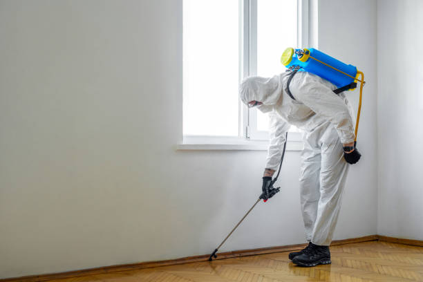 Best Termite Control Services  in Santee, CA