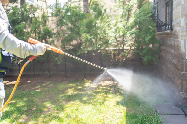 Best Ant Control Services  in Santee, CA