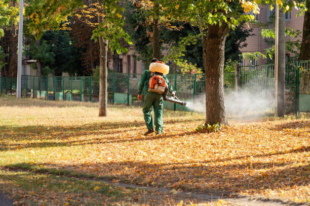 Best Rat Extermination Near Me  in Santee, CA